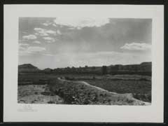 ���� ������ ��� ��� ����