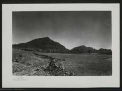 ���� ������ ��� ��� ����