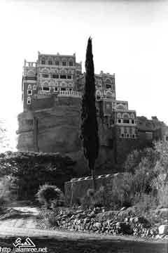 ���� ������ ��� ��� ����