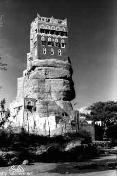 ���� ������ ��� ��� ����