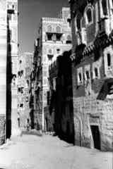 ���� ������ ��� ��� ����