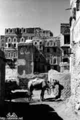 ���� ������ ��� ��� ����