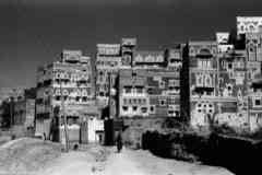 ���� ������ ��� ��� ����