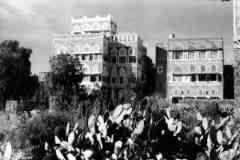 ���� ������ ��� ��� ����