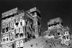 ���� ������ ��� ��� ����