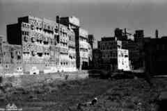 ���� ������ ��� ��� ����