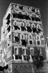 ���� ������ ��� ��� ����