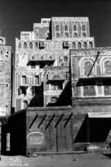 ���� ������ ��� ��� ����