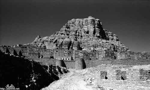 ���� ������ ��� ��� ����