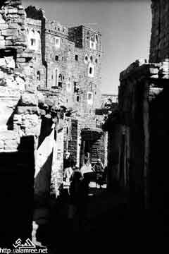 ���� ������ ��� ��� ����