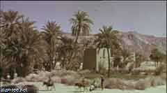 ���� ������ ��� ��� ����