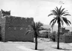 ���� ������ ��� ��� ����