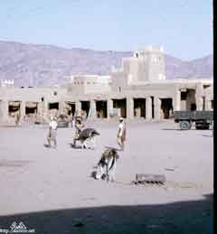 ���� ������ ��� ��� ����