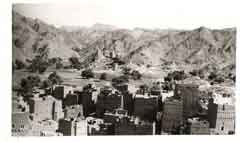 ���� ������ ��� ��� ����