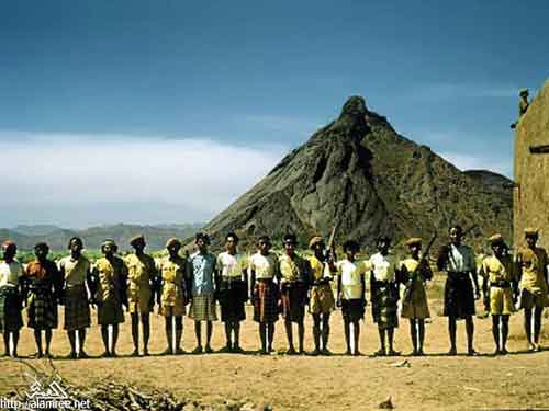 ���� ������ ��� ��� ����