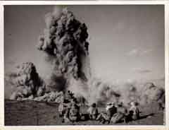 ���� ������ ��� ��� ����