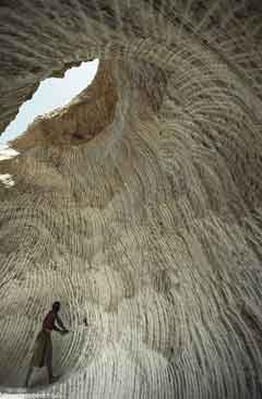 ���� ������ ��� ��� ����