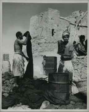 ���� ������ ��� ��� ����