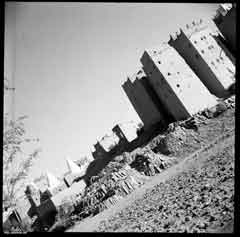 ���� ������ ��� ��� ����