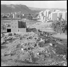 ���� ������ ��� ��� ����