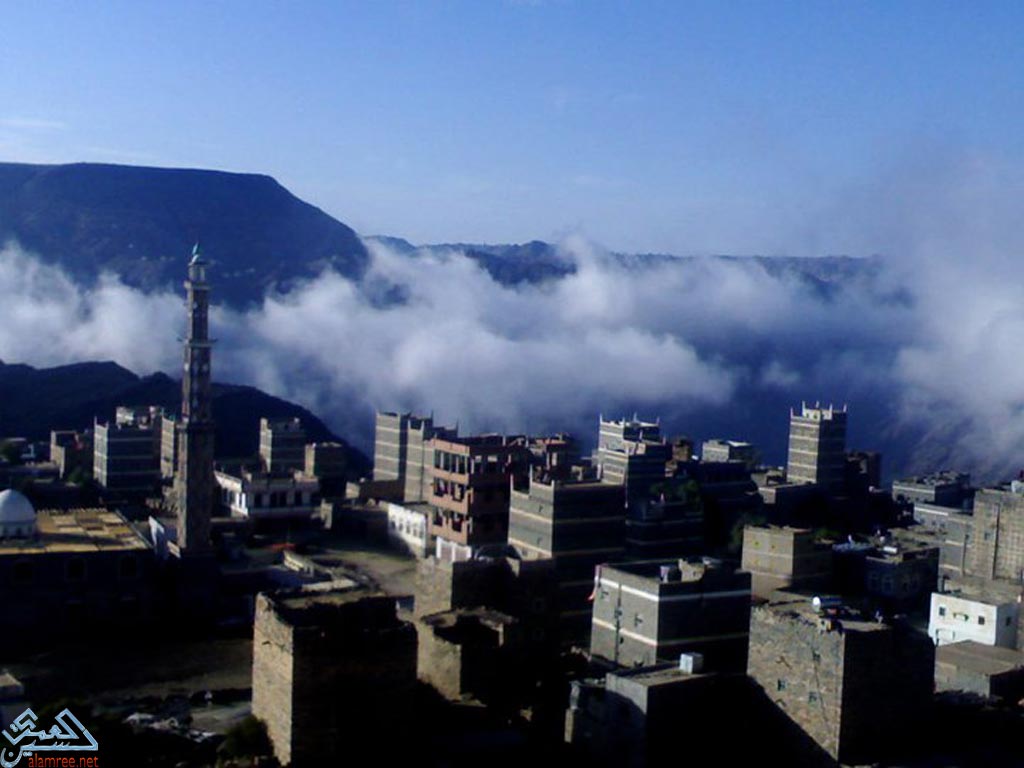 ���� ������ �� ���� �������