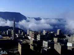 ��� ��� ���� ����