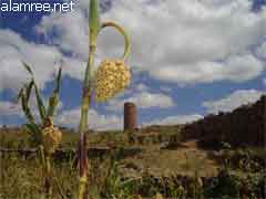 ���� �� ���� ���� ���� �����