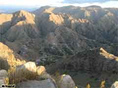 ��� ��� ���� ����