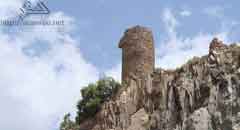 ���� ����� ���� �������