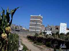 ���� �� �� ���� ����� ����