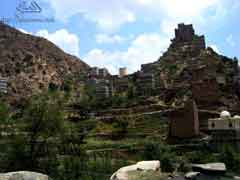 ������� ���� 