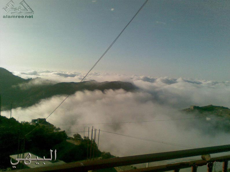 ���� ������� ���� ���� ������ ��� ��� ���� 840�1120